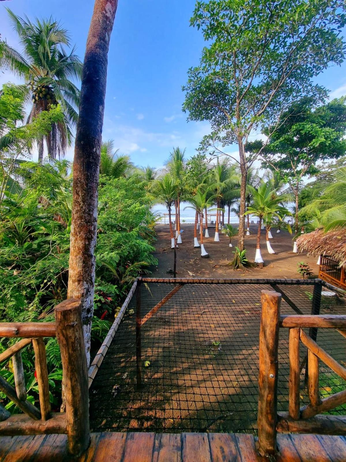 Tortuga Bay Eco Hotel El Valle  Cameră foto