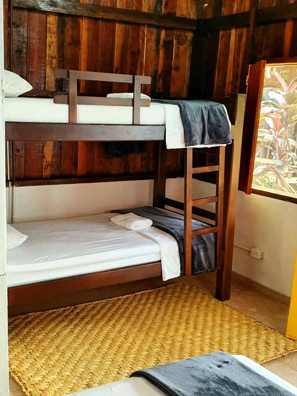 Tortuga Bay Eco Hotel El Valle  Cameră foto